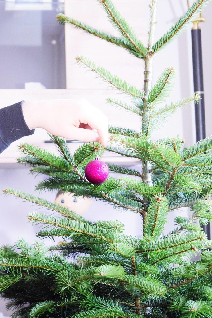 Auf Der Suche Nach Der Perfekten Tanne Weihnachtsbaum Online Kaufen Calistas Traum