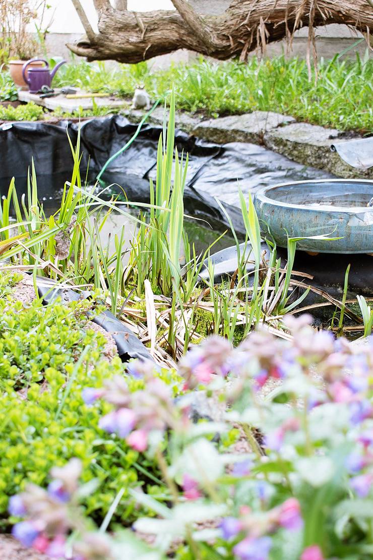 Gartenteich im Frühling reinigen & Gartenhaus planen Hausupdate