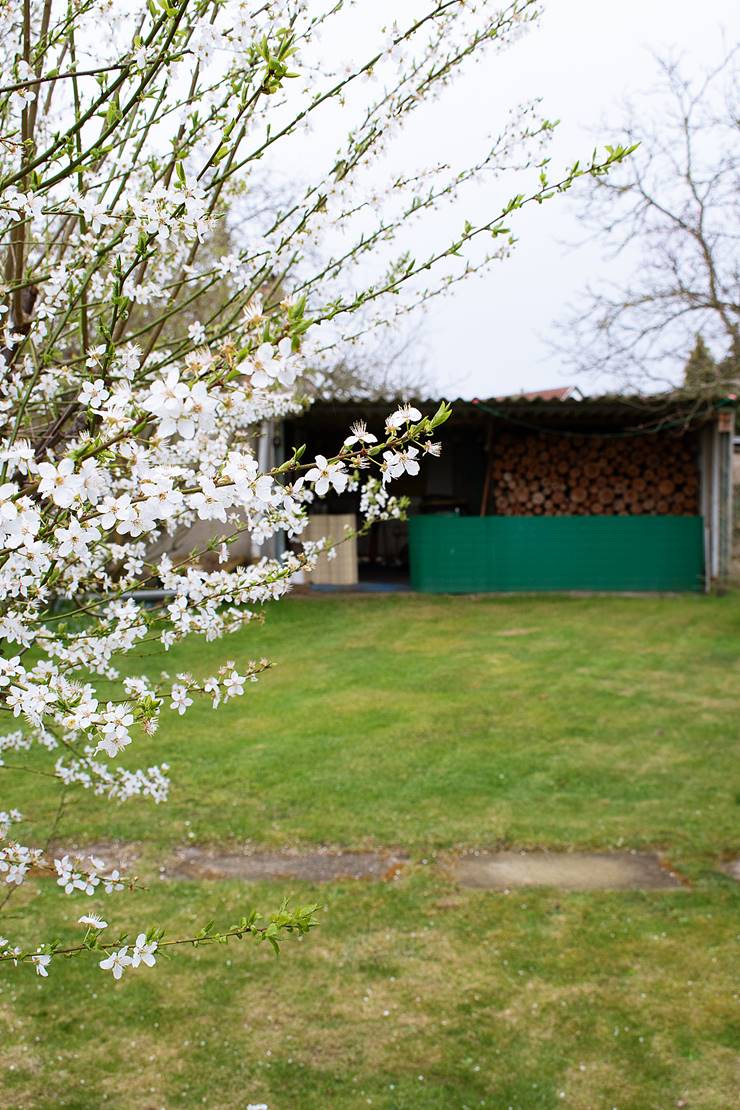 Gartenteich im Frühling reinigen & Gartenhaus planen Hausupdate